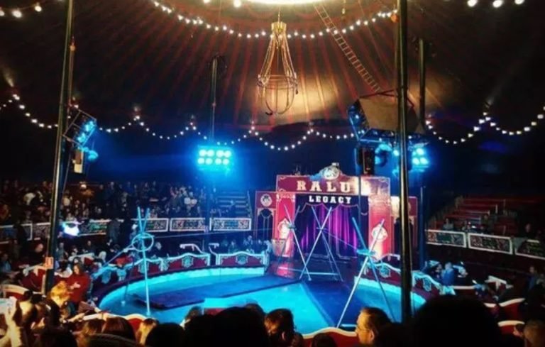 circo raluy