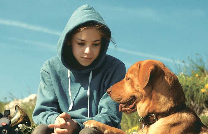 White God (Feher isten, Kornel Mundruczo, 2014)