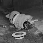 weegee arthur fellig cadaver mafia nueva york fotografía