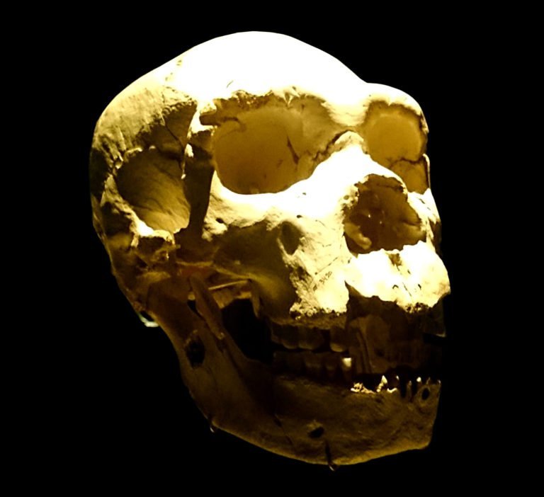 atapuerca