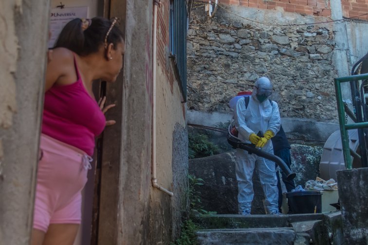 muertes reales de la covid según la OMS