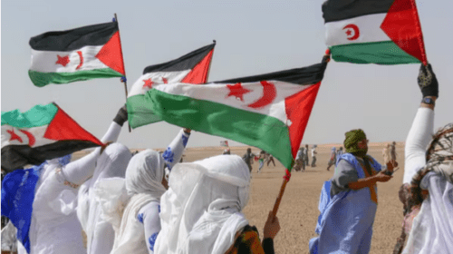 Manifestación a favor de la independencia del Sáhara exclusión de los saharauis de la regularización en España