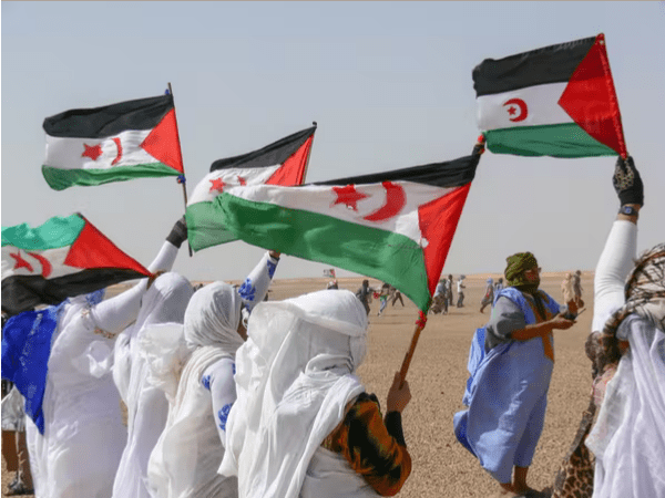 Manifestación a favor de la independencia del Sáhara / Shutterstock.