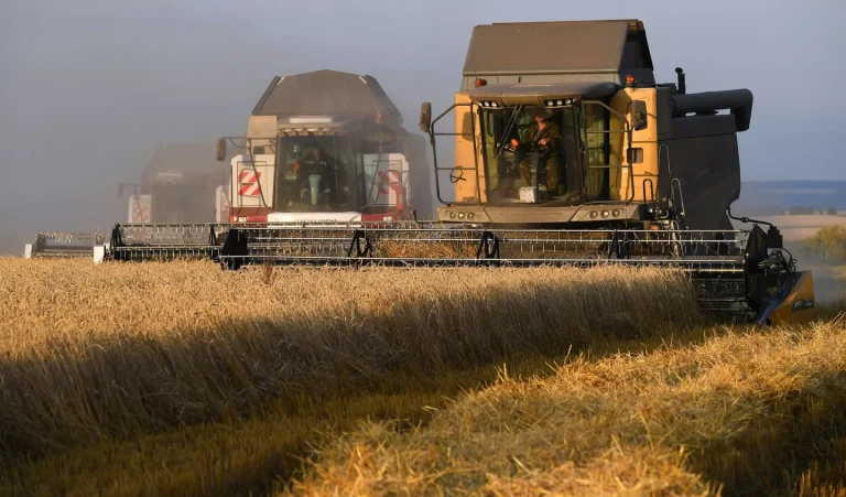 Comercio Agrícola