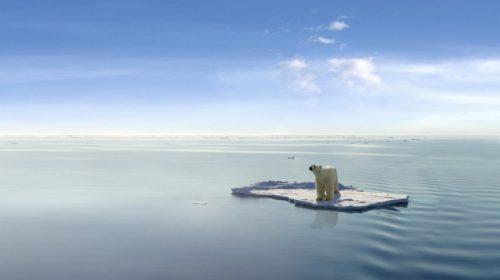 Oso polar hielo conferencia Glasgow cambio climático