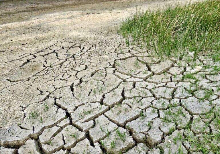 Catalunya crisis climática ecocidio