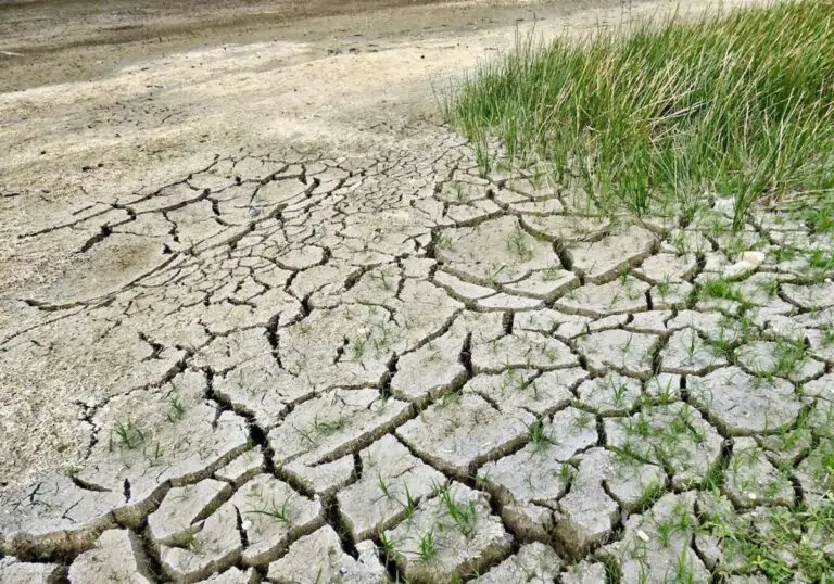 Catalunya crisis climática ecocidio