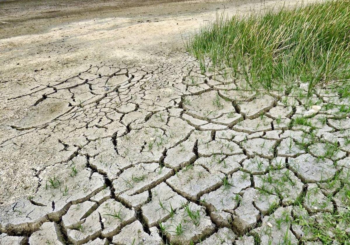 Catalunya crisis climática ecocidio