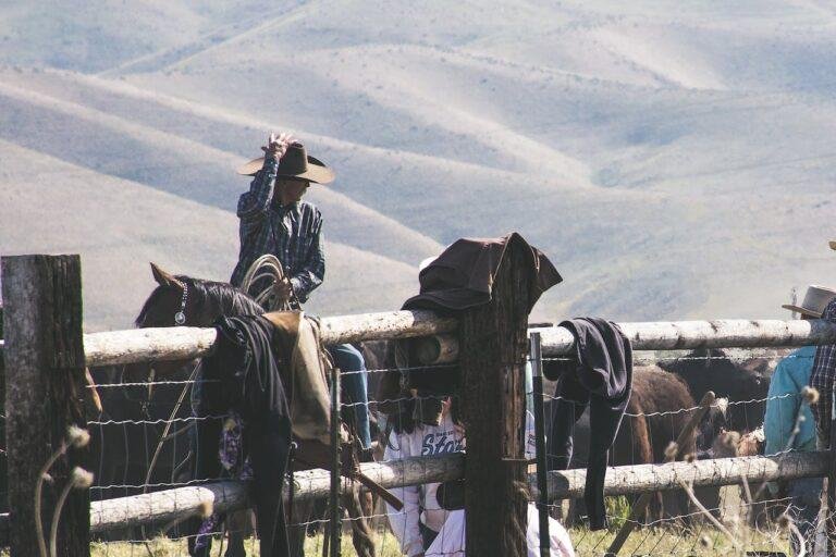 Sombrero vaquero