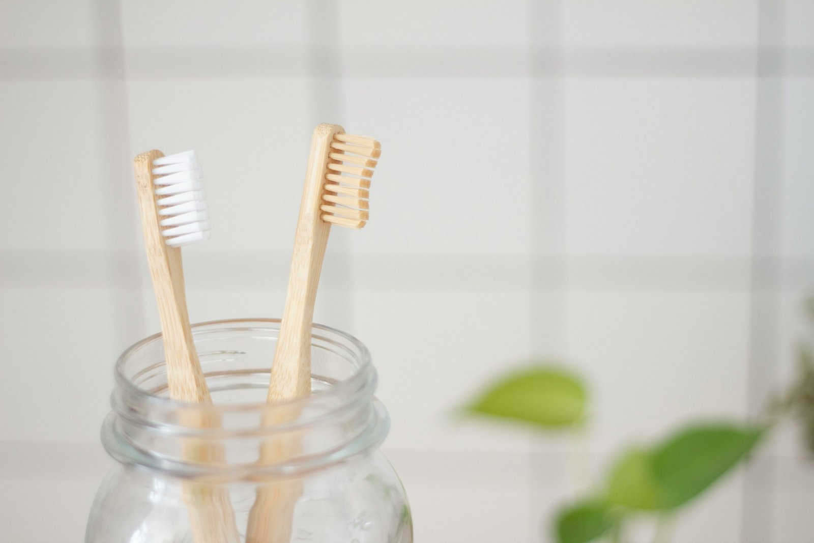 cepillos dientes fuertes sanos salud bucal