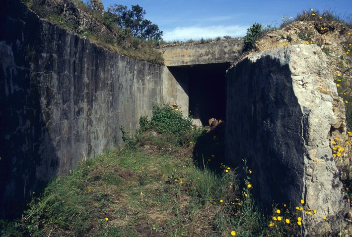 Línea Pérez