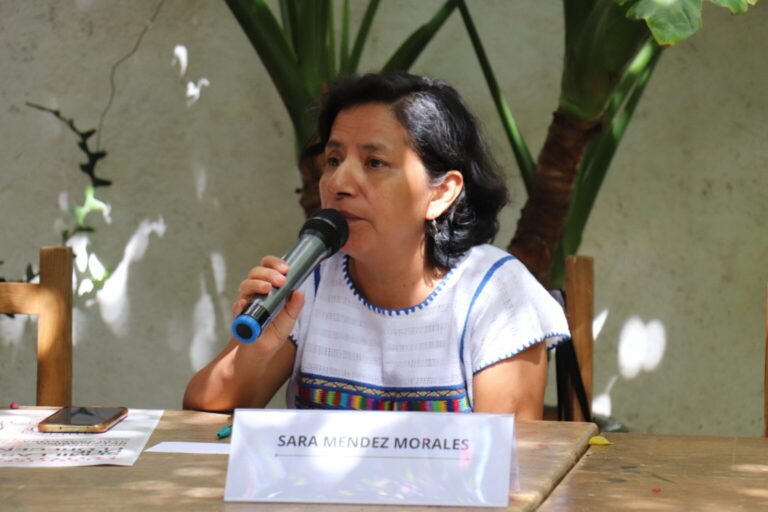 Sara Méndez
