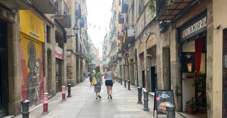 apartamentos turísticos ciutat vella