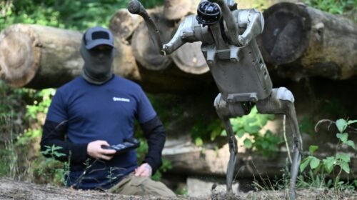 perros robot ucrania