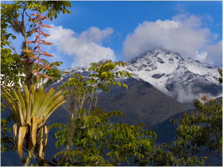 glaciares venezuela