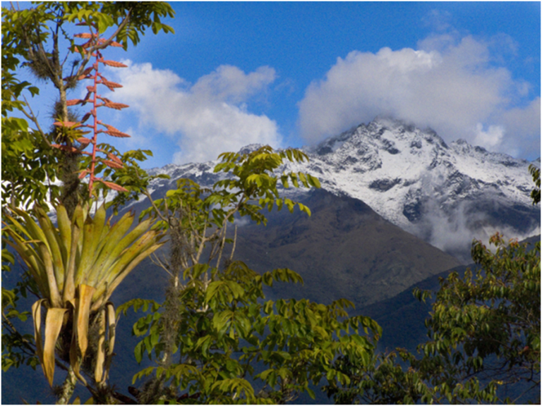 glaciares venezuela