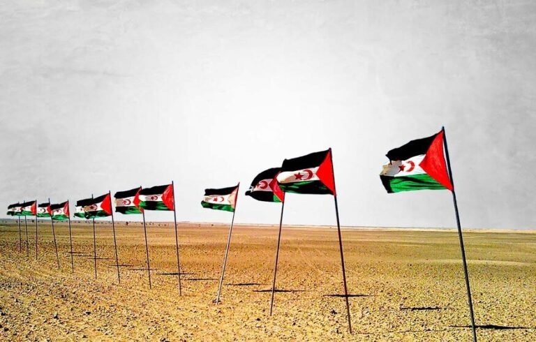 sahara marcha verde
