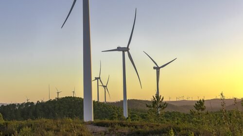 molinos viento aerogeneradores transición energética impagos de renovables