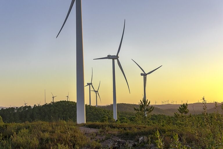 molinos viento aerogeneradores transición energética impagos de renovables