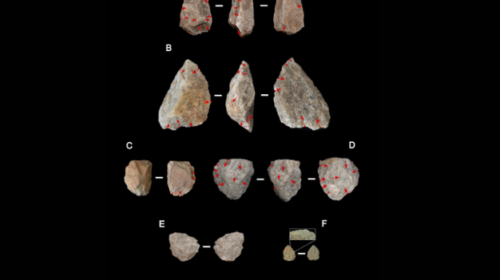 Selección de herramientas de piedra procedentes del yacimiento de Engaji Nanyori, en la Garganta de Oldupai (Tanzania). Autoría: Akuku / University of Calgary. Homo erectus