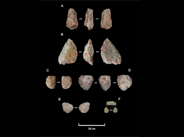 Selección de herramientas de piedra procedentes del yacimiento de Engaji Nanyori, en la Garganta de Oldupai (Tanzania). Autoría: Akuku / University of Calgary. Homo erectus