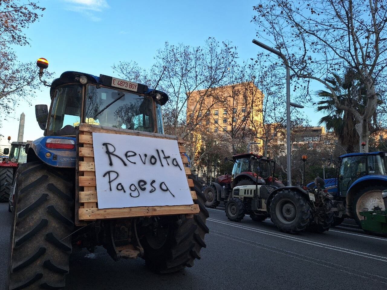 Revolta Pagesa