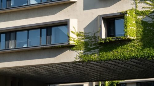 construcción sostenible con madera