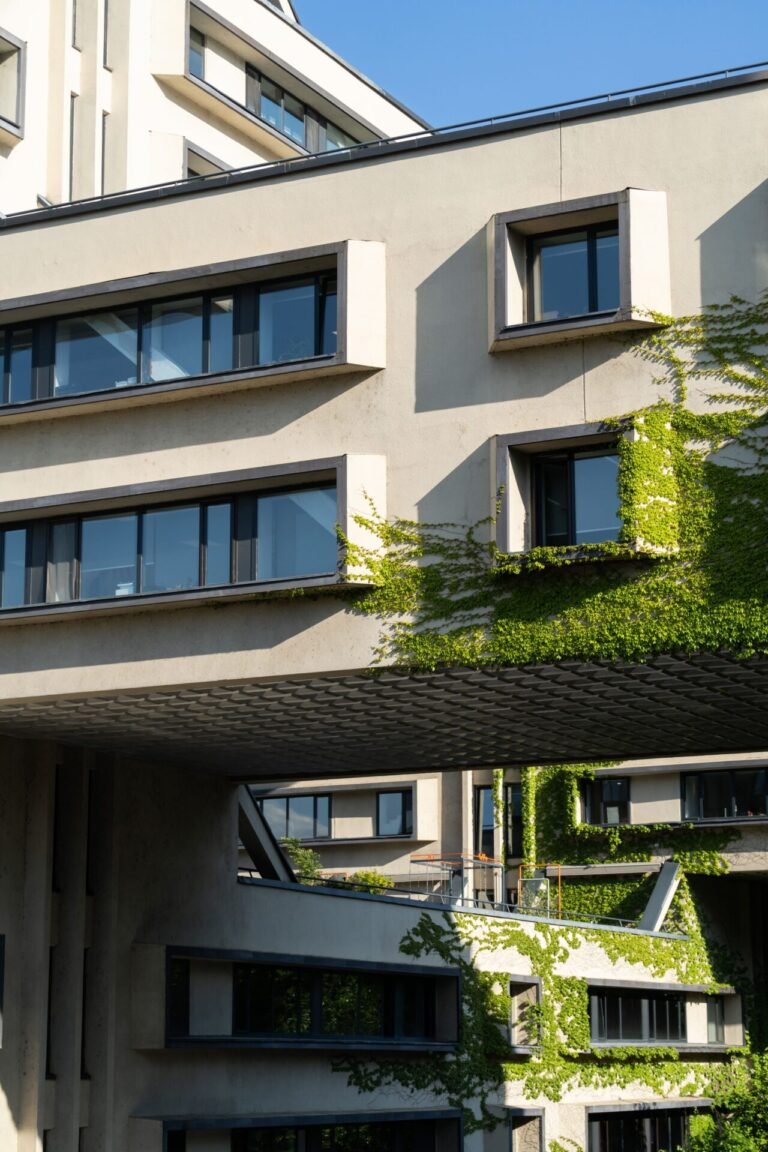 construcción sostenible con madera