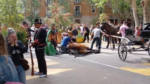 caballo muerto