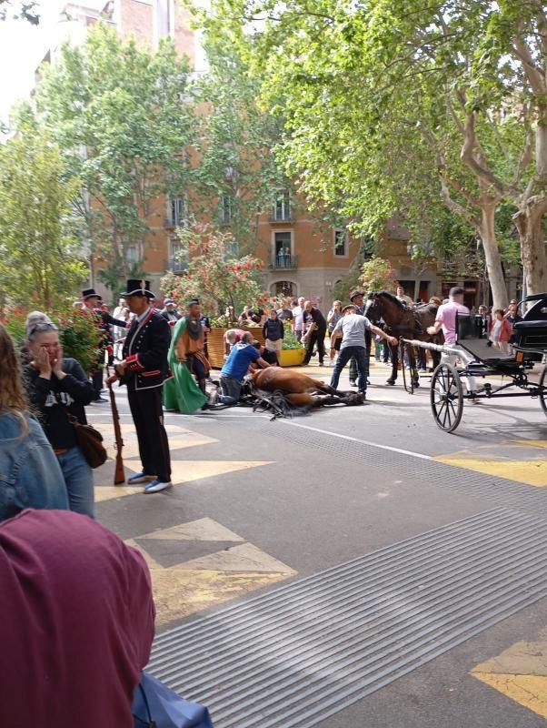 caballo muerto