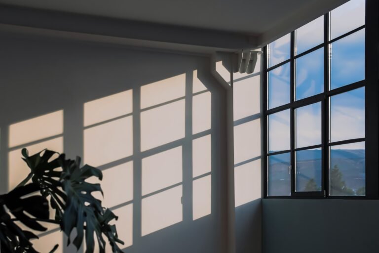 ventanas
