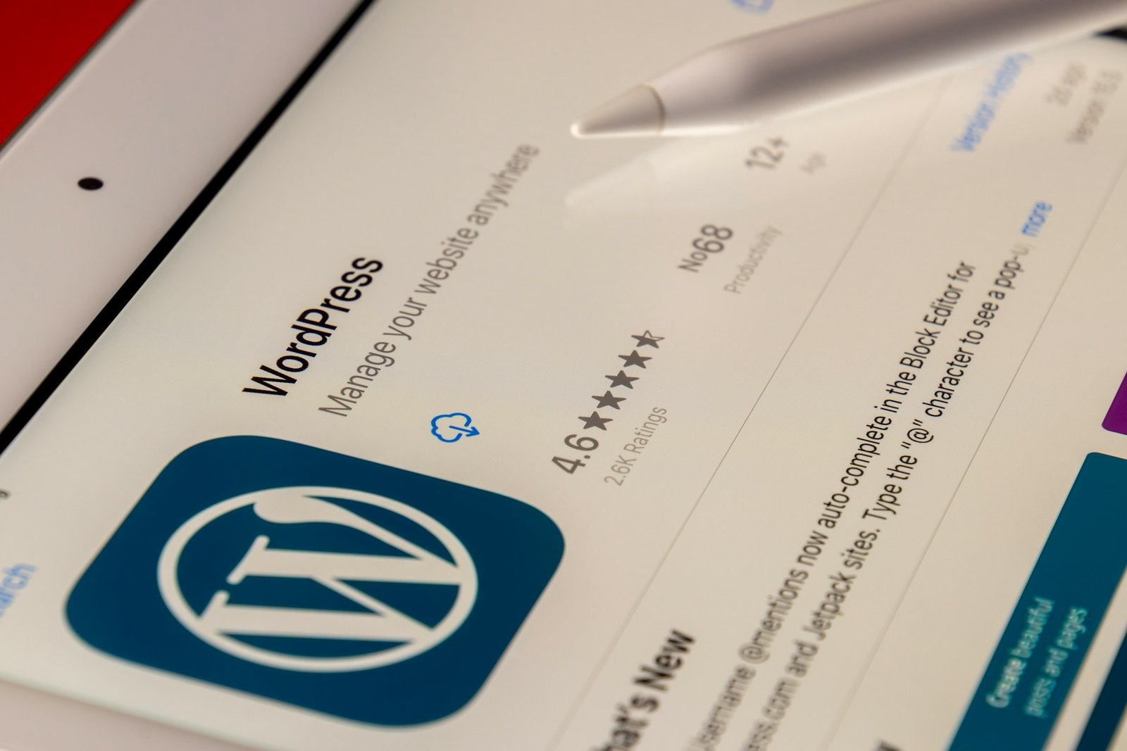 errores wordpress