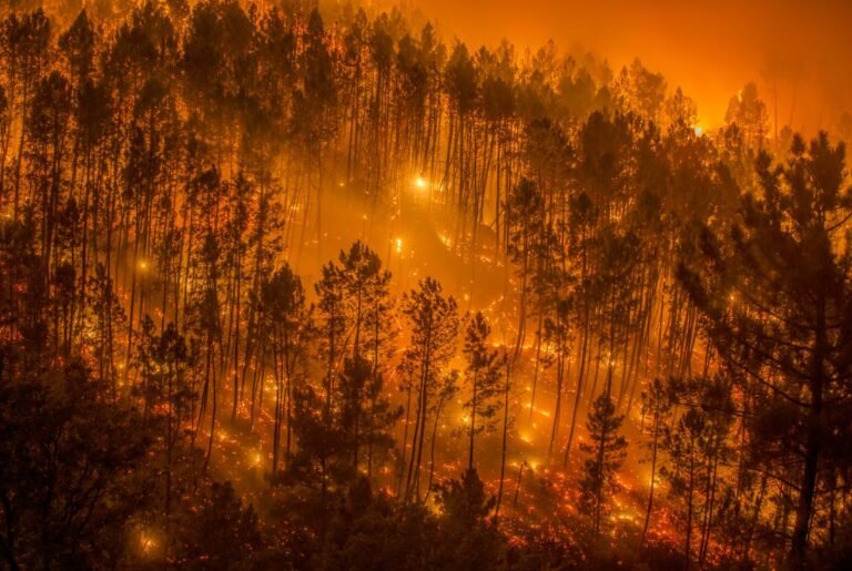 incendios europa