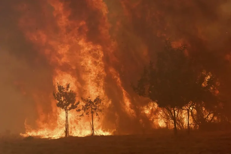 incendios españa china