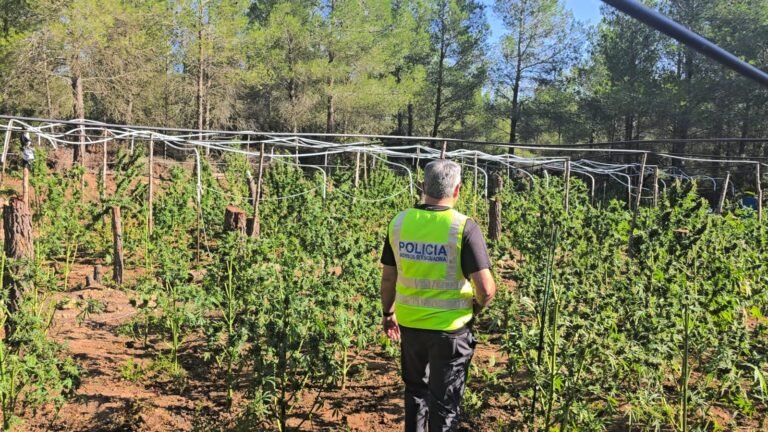 narcos les garrigues