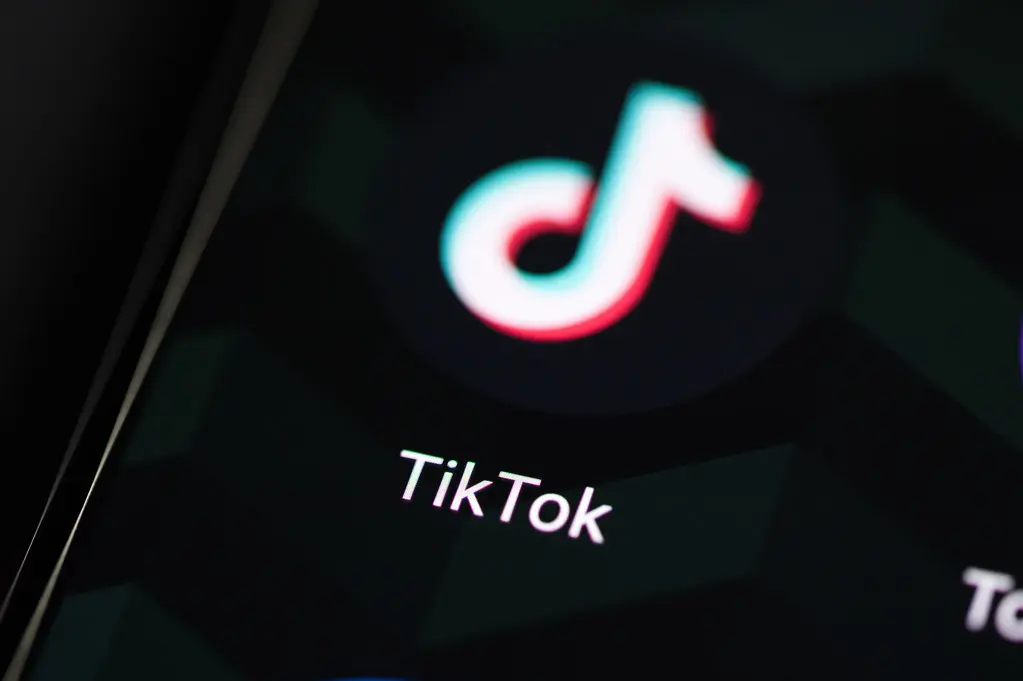 Descargar Vídeos tiktok