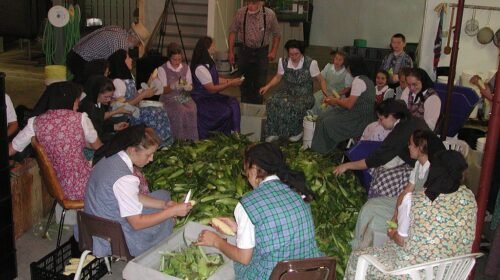 hutteritas
