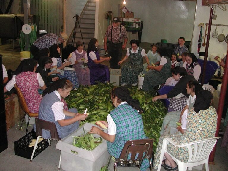 hutteritas