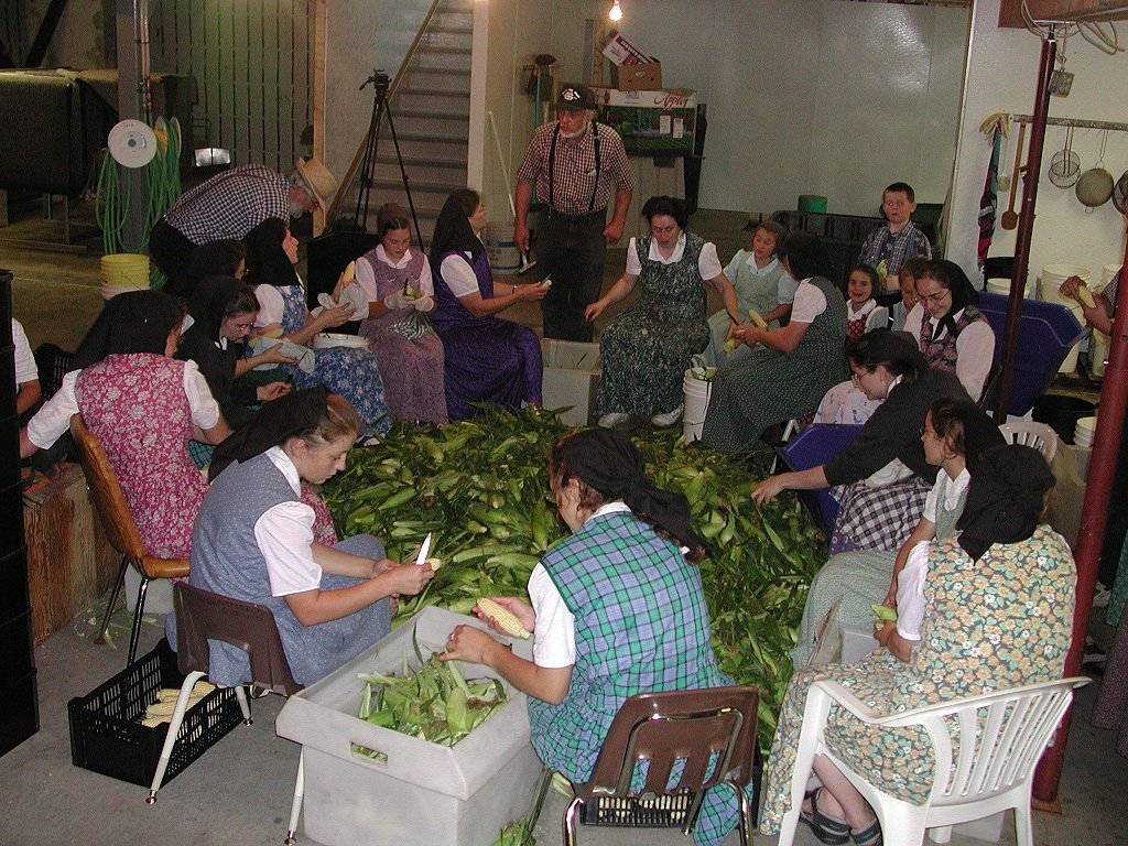 hutteritas