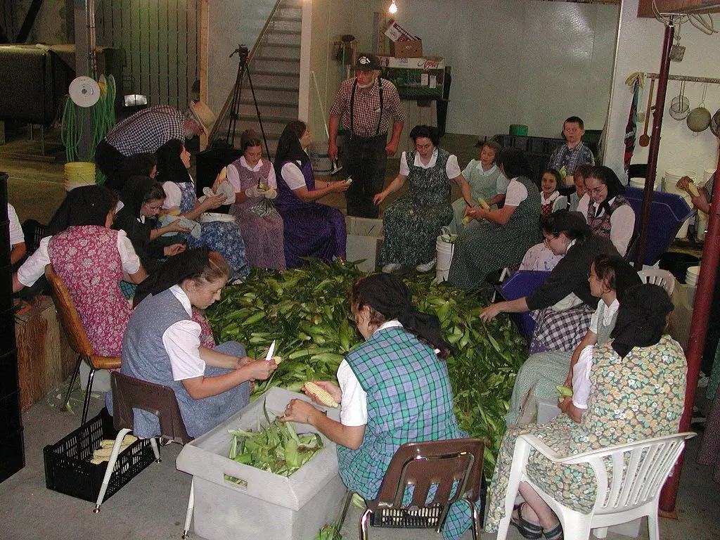 hutteritas