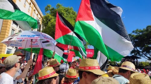 movilizaciones por Palestina