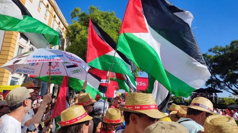 movilizaciones por Palestina