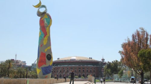 campamento parc joan miro