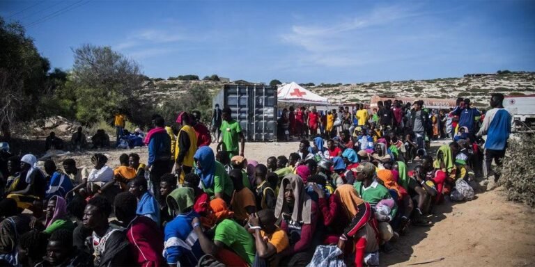 refugiados eritreos