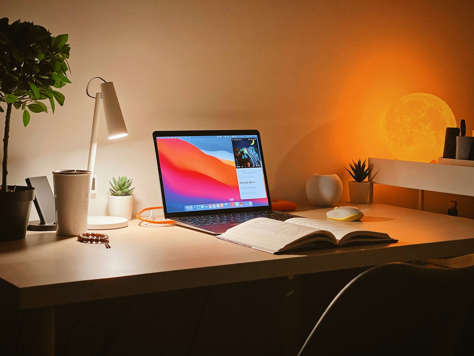 preparar tu material de estudio