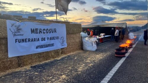 mercosur