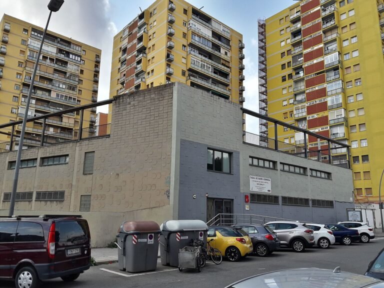 transformación urbana de La Verneda