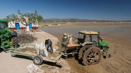crisis ayudas agricultores arroz Delta del Ebro bloqueadas 2025
