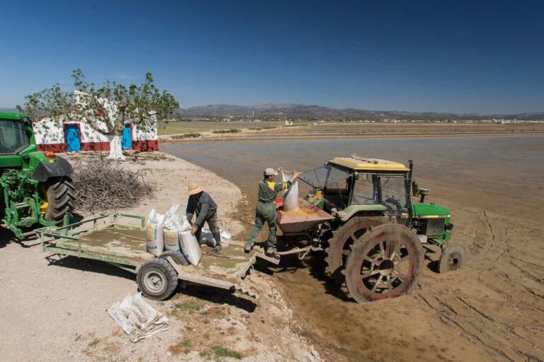 crisis ayudas agricultores arroz Delta del Ebro bloqueadas 2025