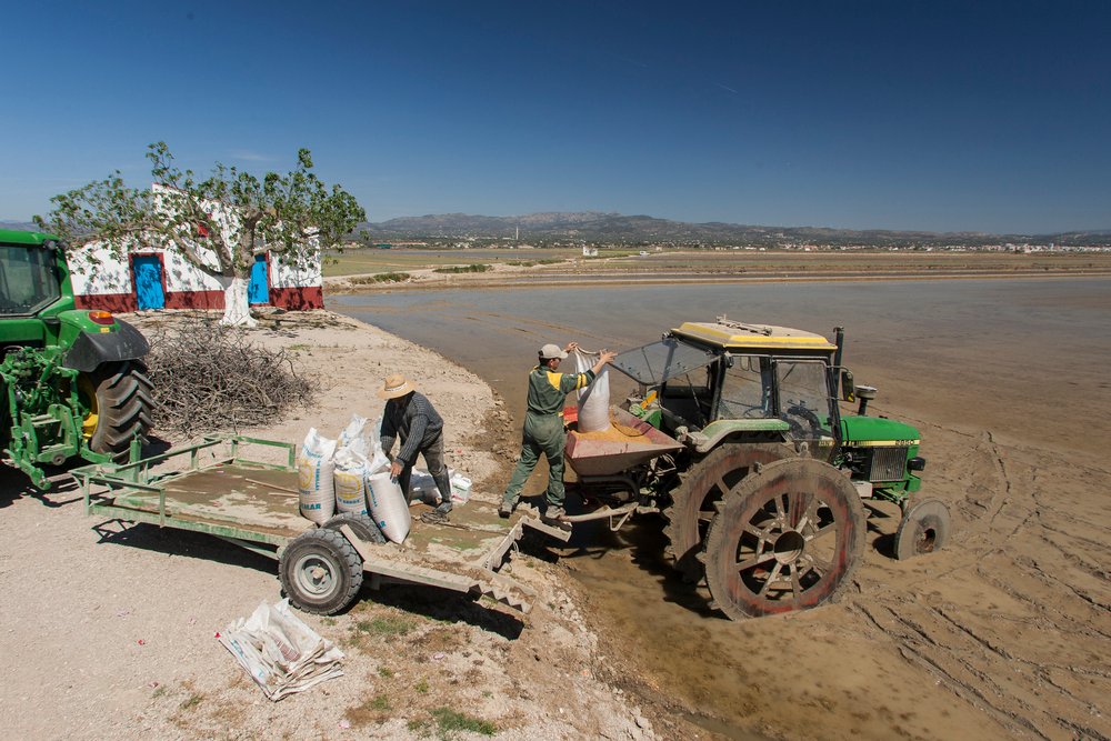 crisis ayudas agricultores arroz Delta del Ebro bloqueadas 2025